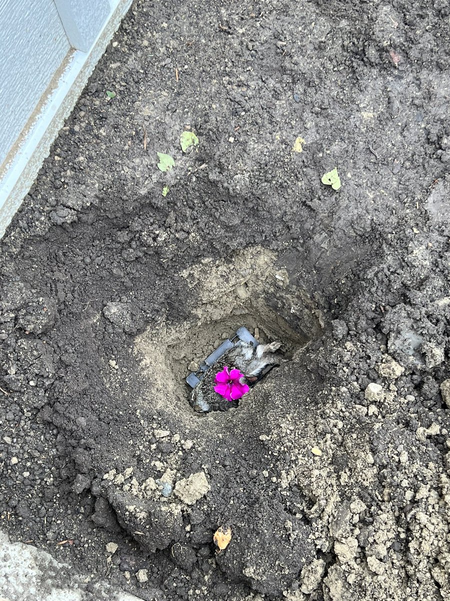 stinkuus's tweet photo. Sometimes the job site is emotionally unsafe. https://t.co/HTiH5tkp5e