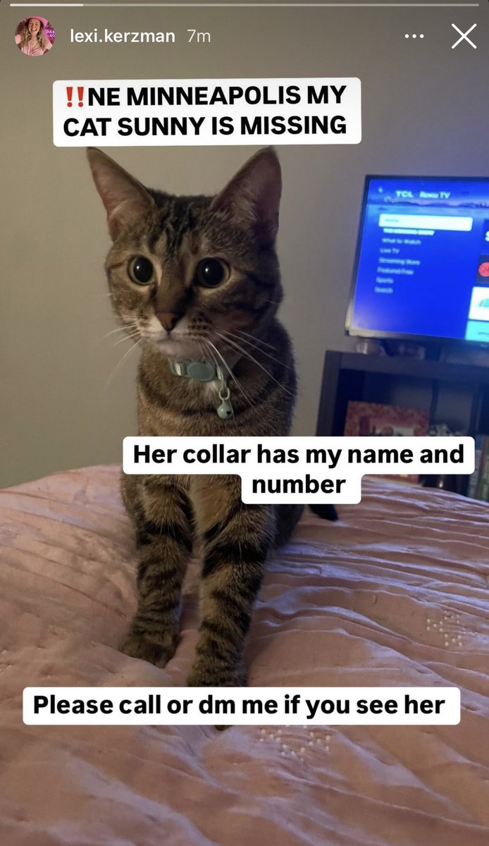❗️❗️❗️NE Minneapolis ❗️❗️❗️

My friends cat went missing!!! Her collar says her name (sunny) and a phone number to call!