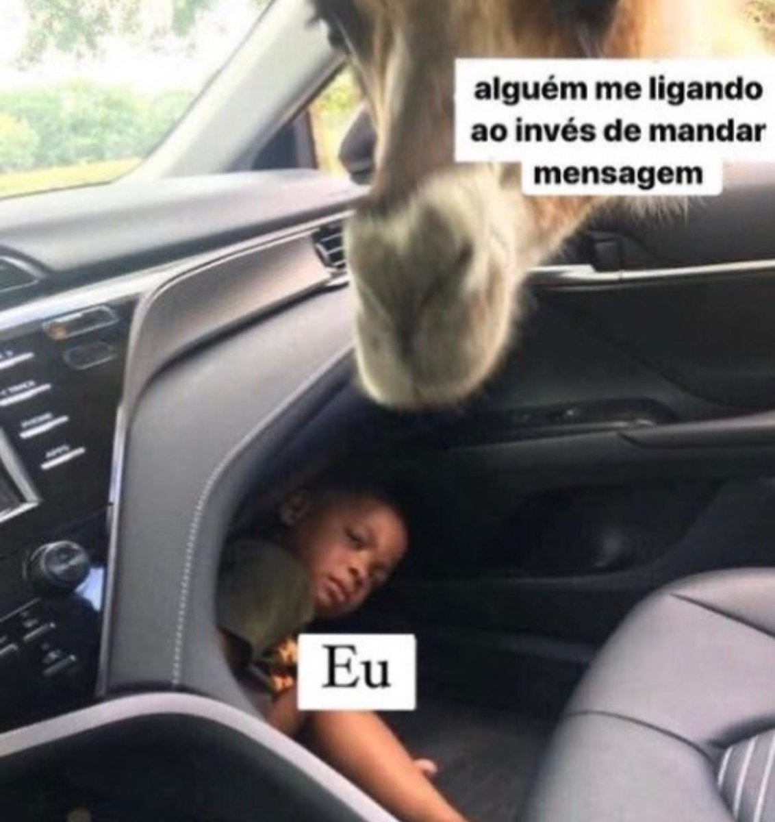 memes pra ver antes do acopalices (@eo_acopalices) on Twitter photo 