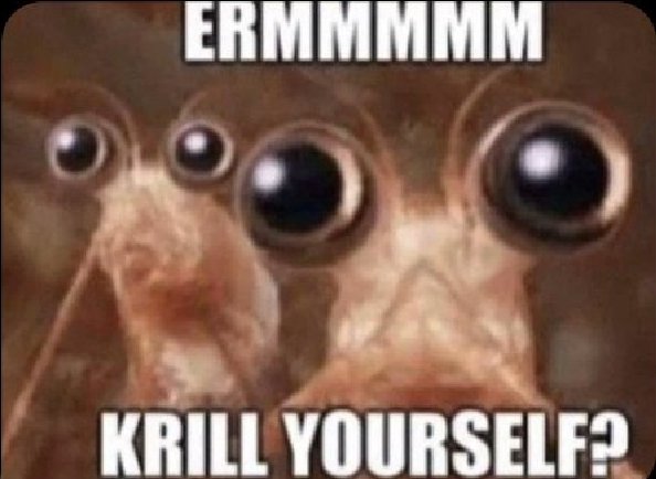 FluidPhantom tweet media