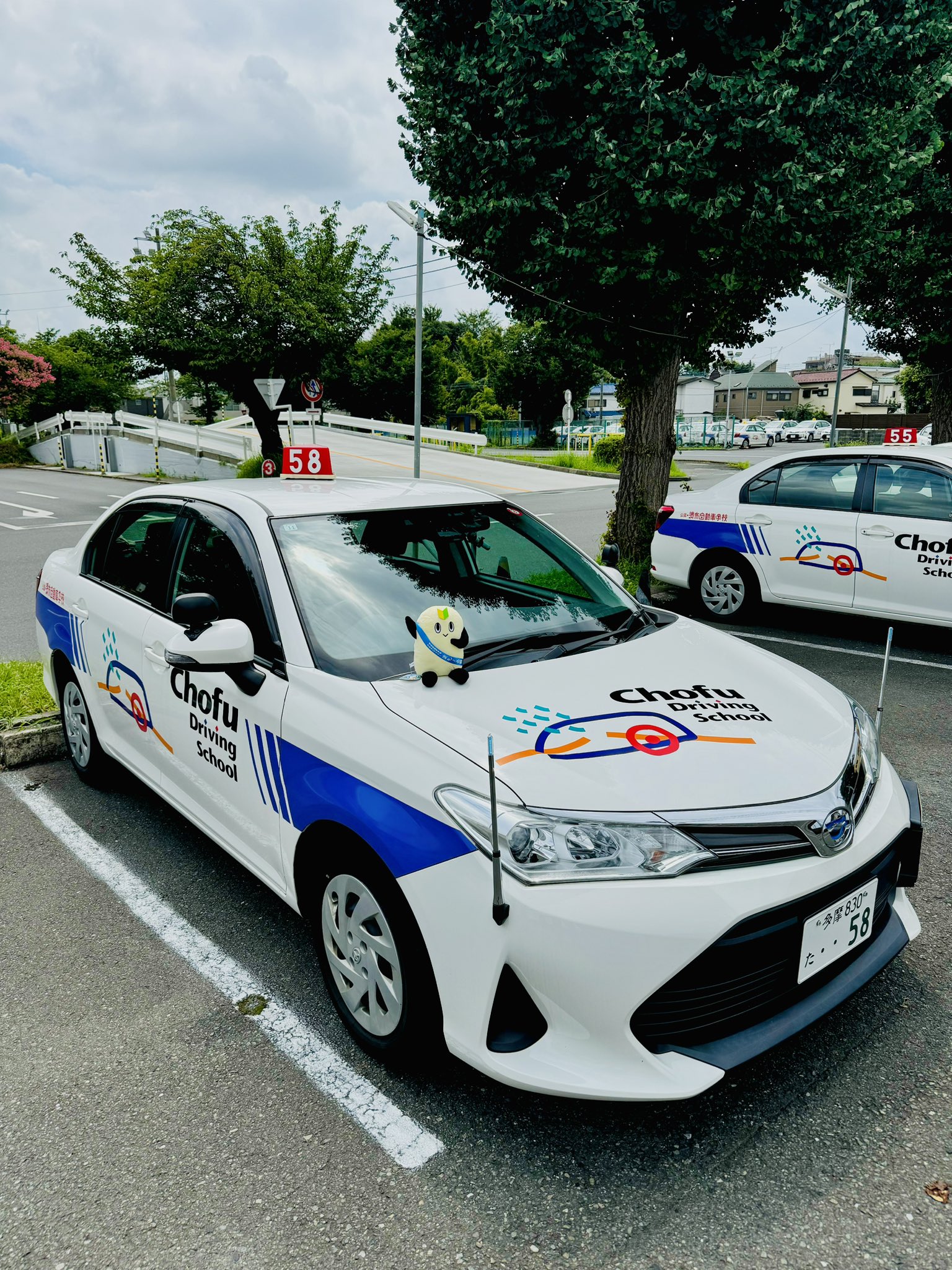 公の場での発言・インタビュー報道記録