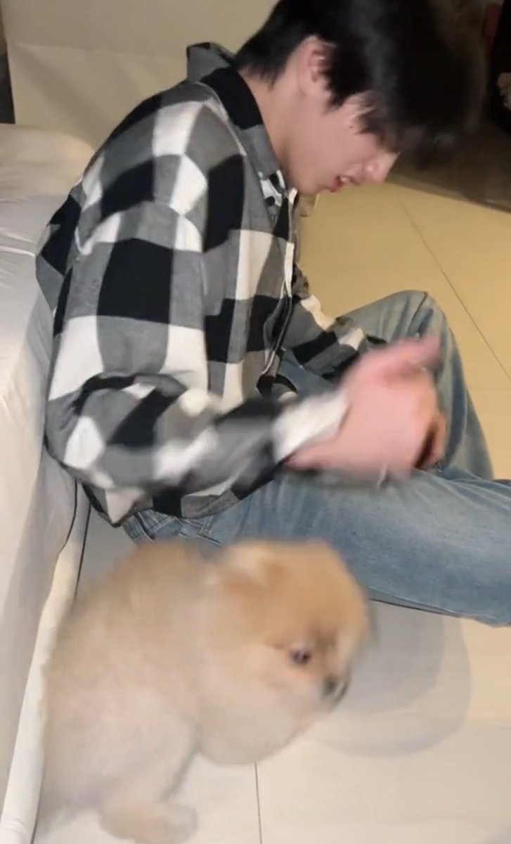 grayyyon's tweet photo. เฮียภูกับคุมะ                       น้องภีมกับคุมะ https://t.co/VIxHQCeJTg
