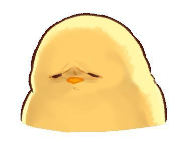 Iaun 🐣 (Slow) tweet media