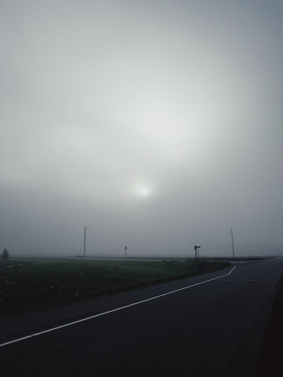 Skizzius tweet media