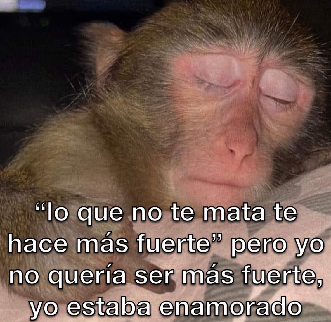 conoloracigarro's tweet photo. https://t.co/AHNKfrLSft