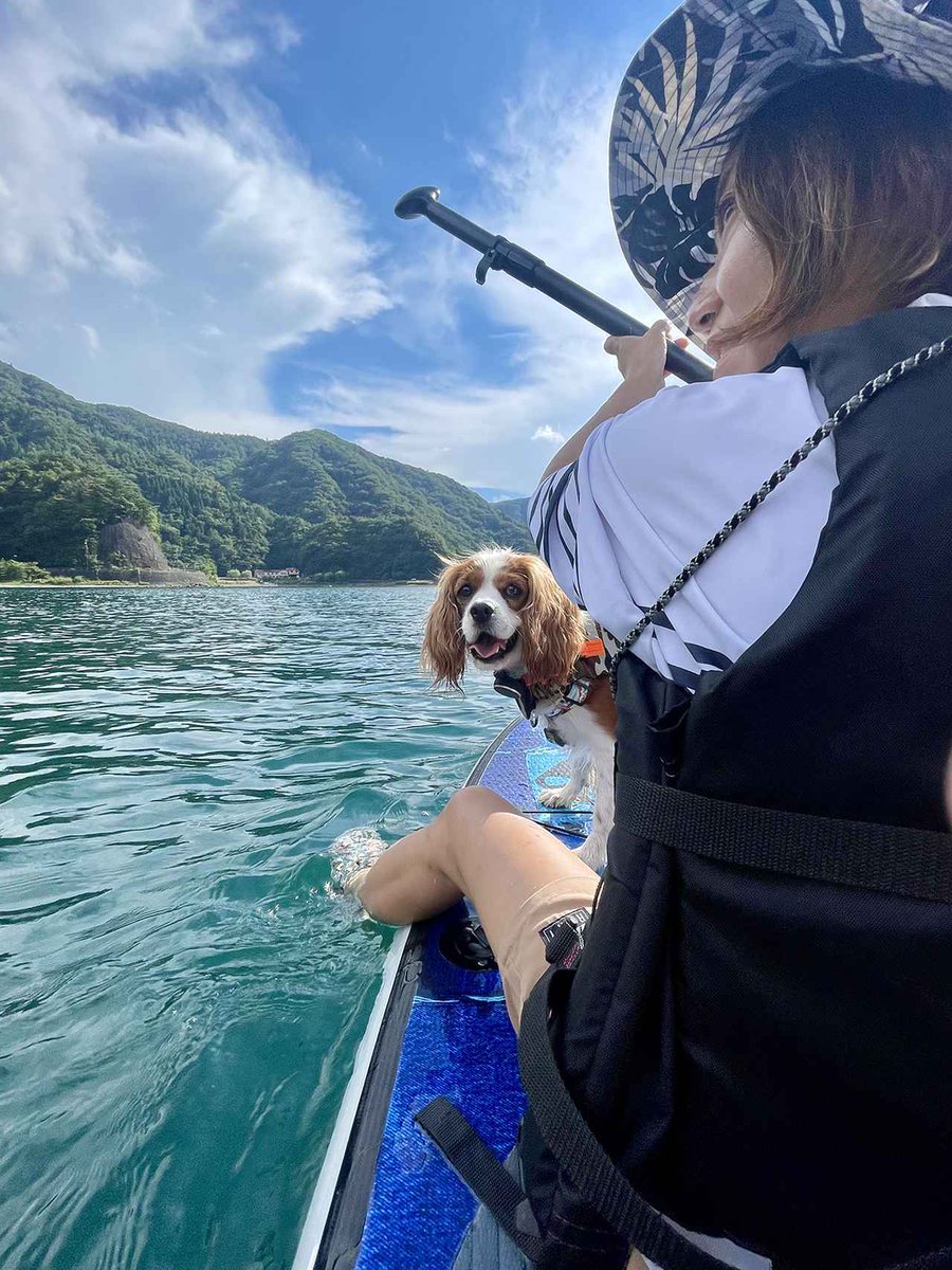 Sotobira_com's tweet photo. 愛犬と車中泊旅を楽しむための暑さ対策とアイテム選び

ペット車中泊の達人は、どんな対策をとっている？
愛犬・ペコとハイエースのバンコンで車中泊やキャンプを楽しむINUTABI夫妻 @inutabi_hiace に聞いてみました！

https://t.co/lS8JPB8Sk3

#車中泊　#キャンピングカー　#カーネル https://t.co/nNxhMl0nn2