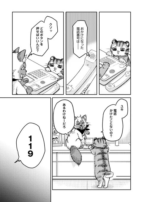 6/8 