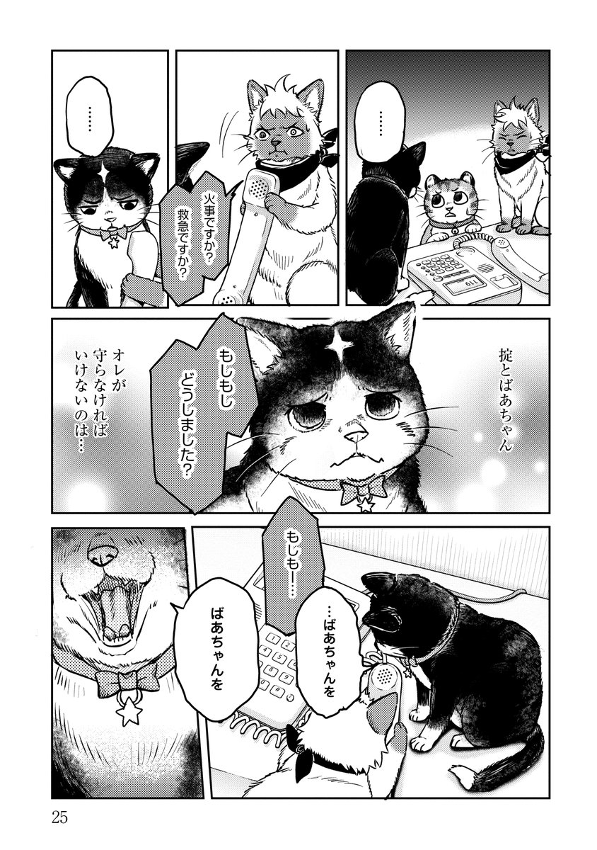 6/8 
