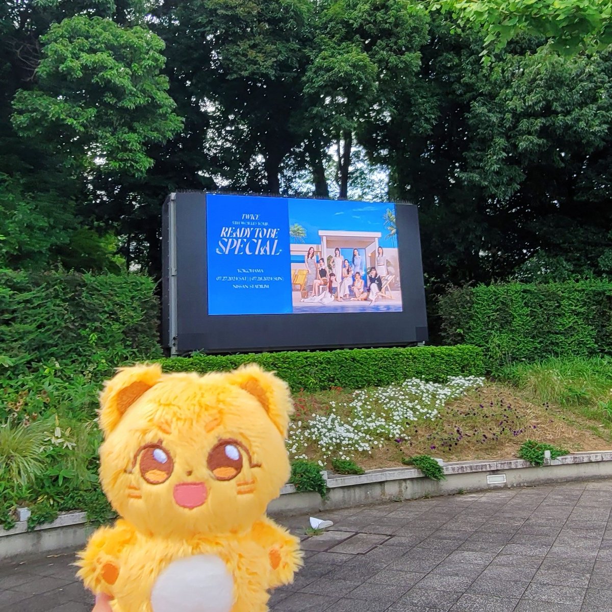 🐱 세계 고양이의 날 💕🐾