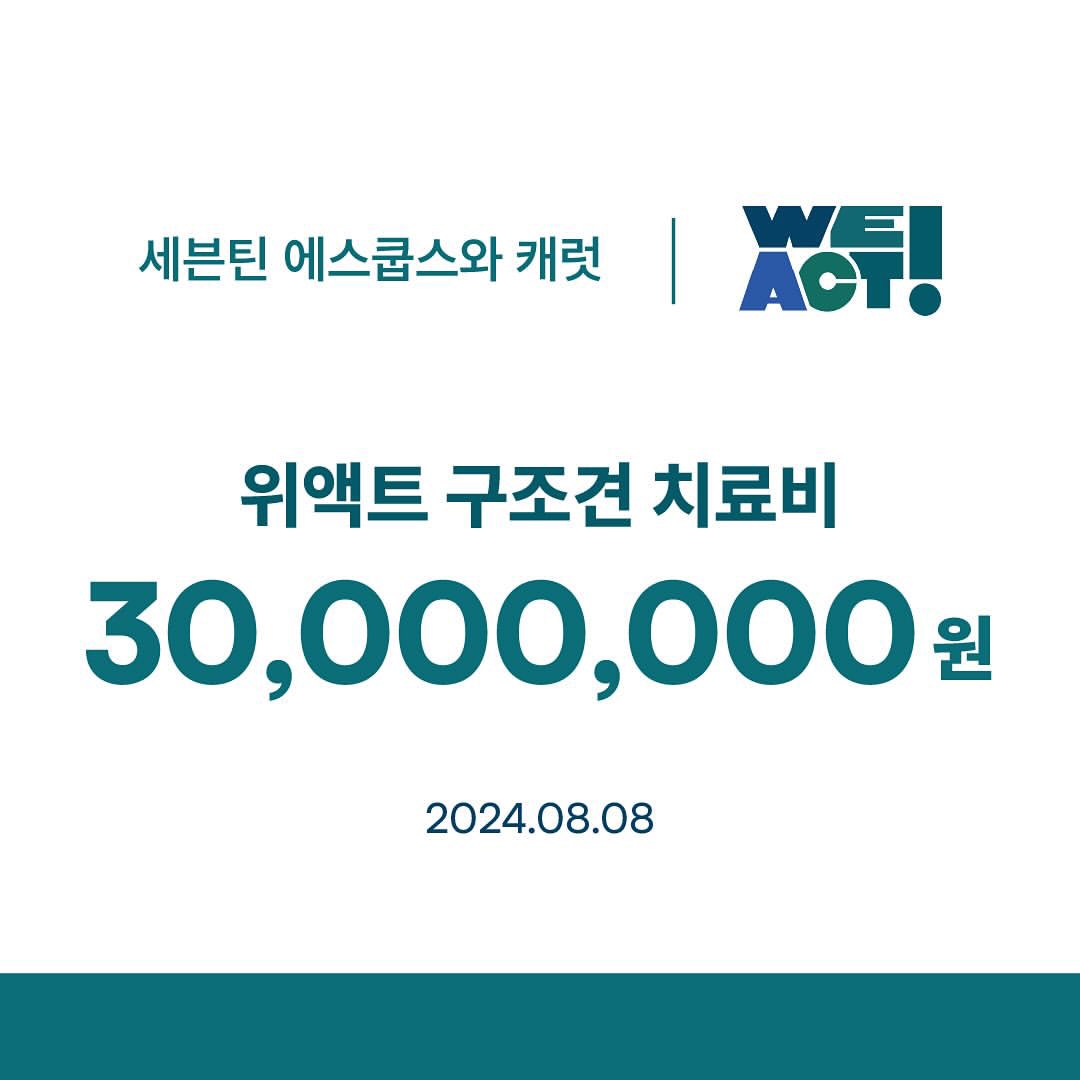 sounds_of_cheol's tweet photo. "in seventeen's song 'Together' there are lyrics that say, 'even if the world turns upside down, we will never lose our way and will walk straight ahead. let's go together' scoups righteous steps have become a beacon of hope for the rescue dogs"

seungcheol ❤️‍🩹 https://t.co/O3YOJ5NMMT