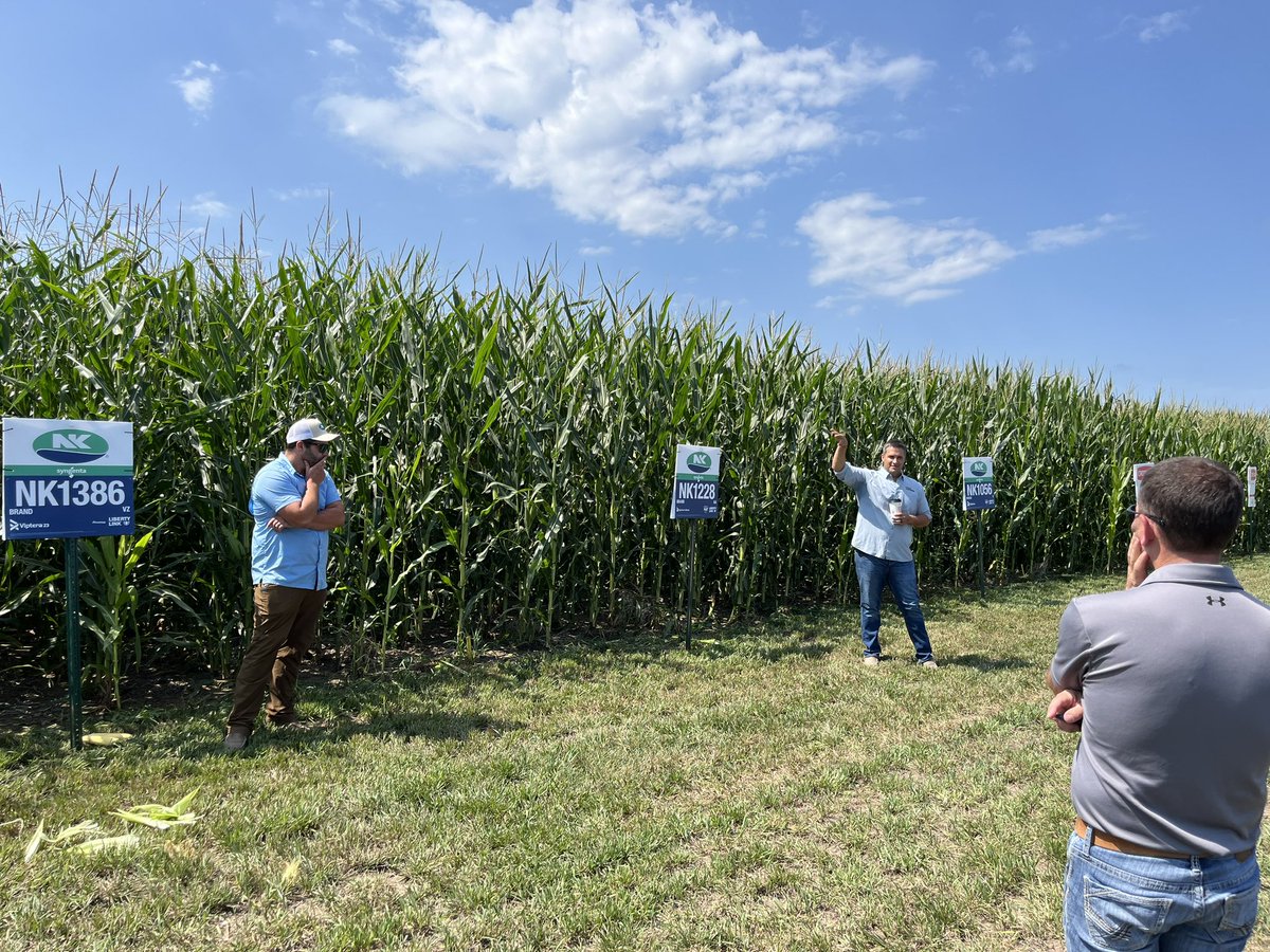 Mike Egger tweet media