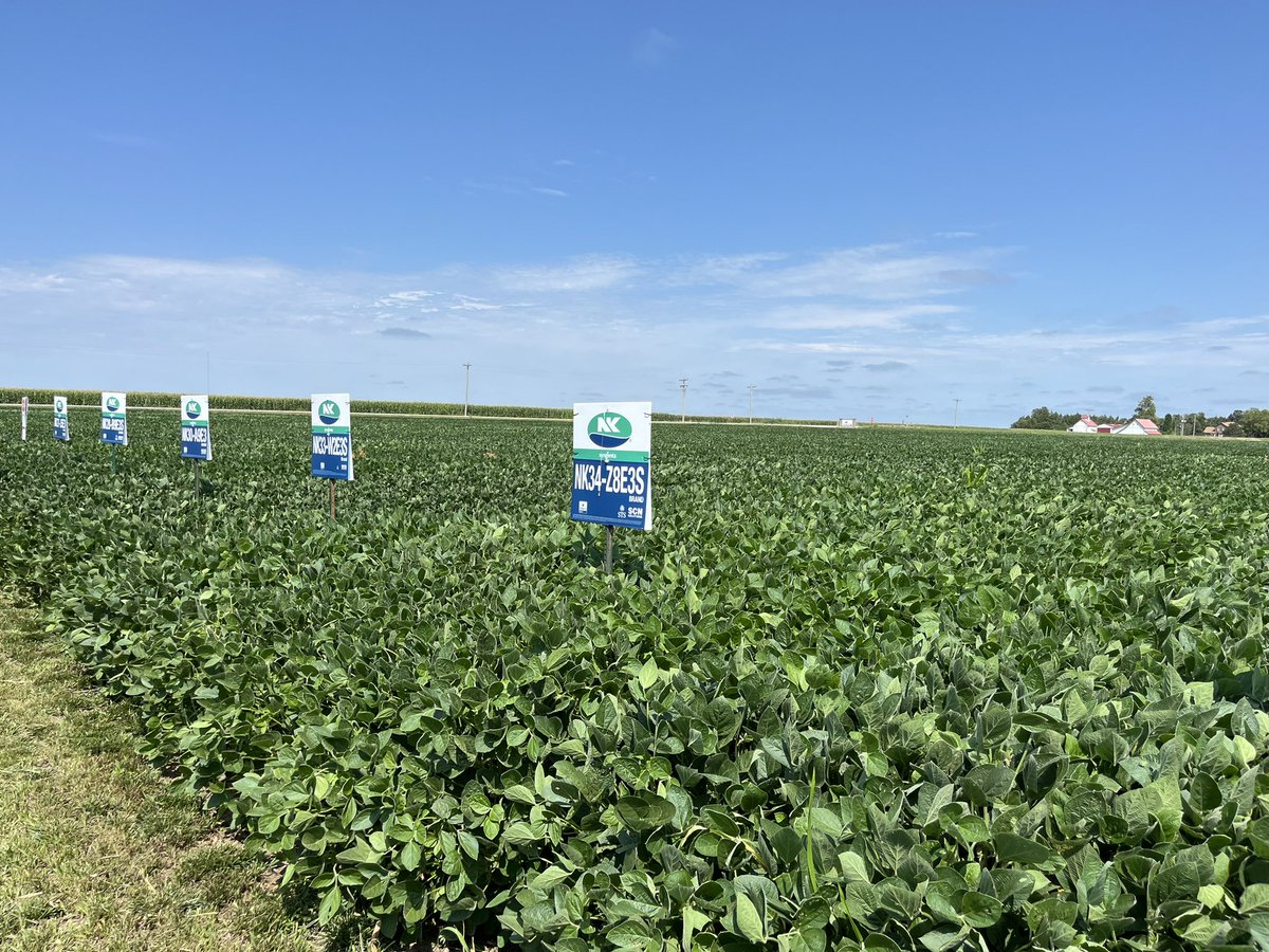 Mike Egger tweet media