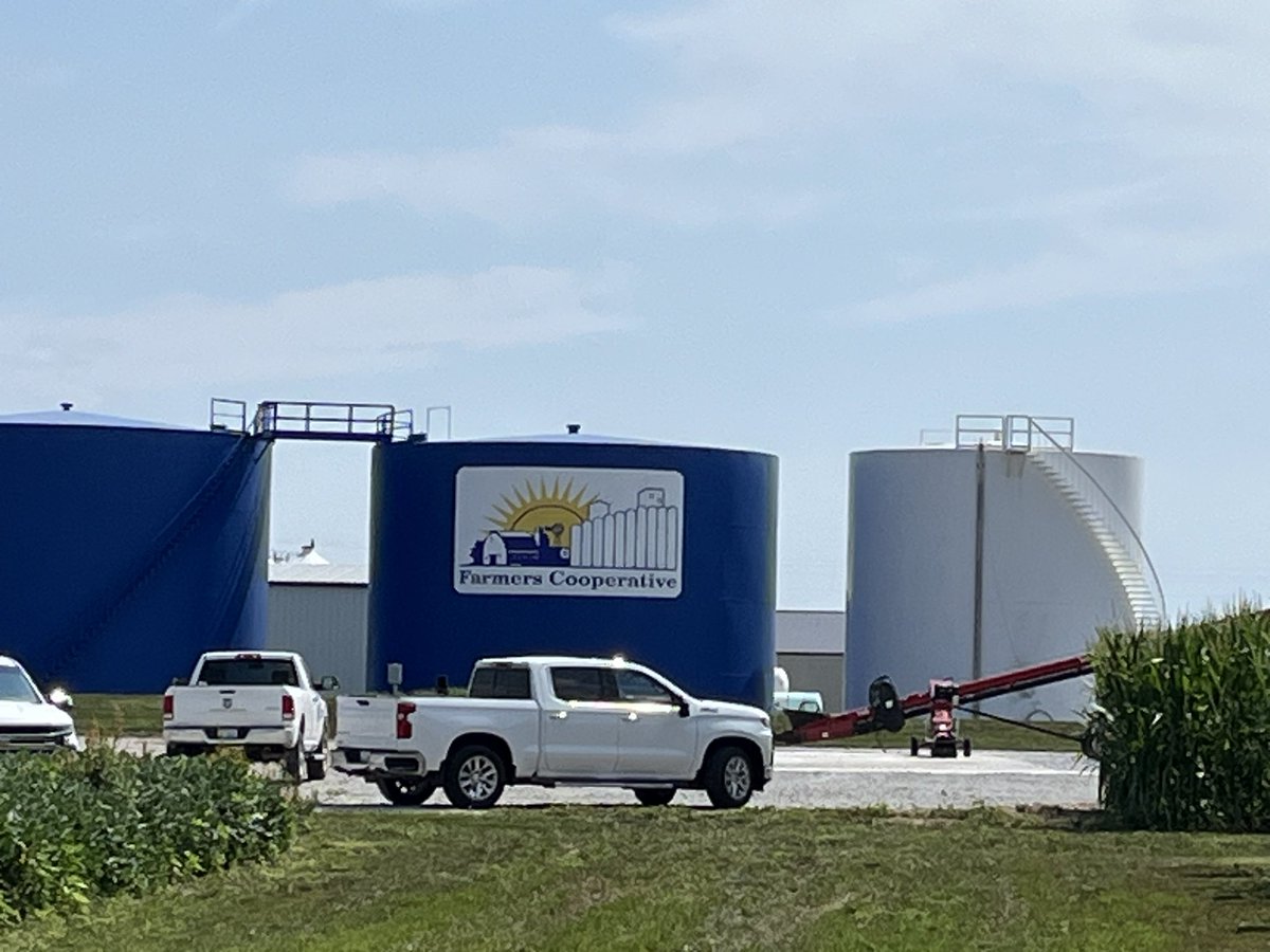 Mike Egger tweet media