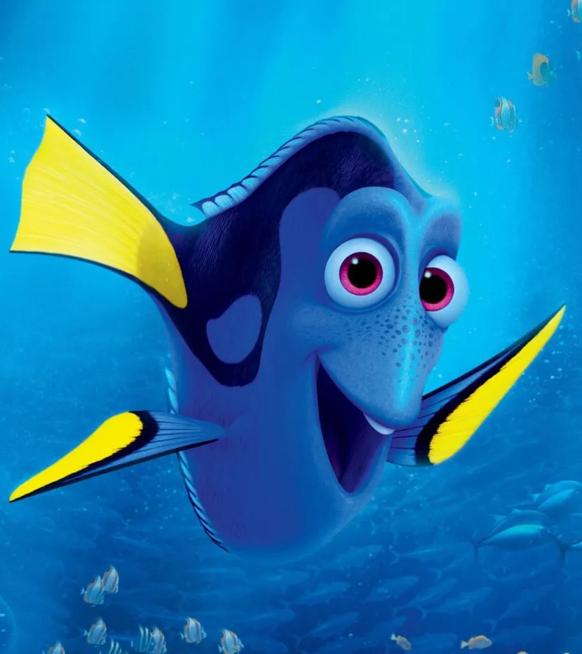 capshawlogia's tweet photo. our dory #callitwhatitis #ciwii https://t.co/PHOrOKoFw1