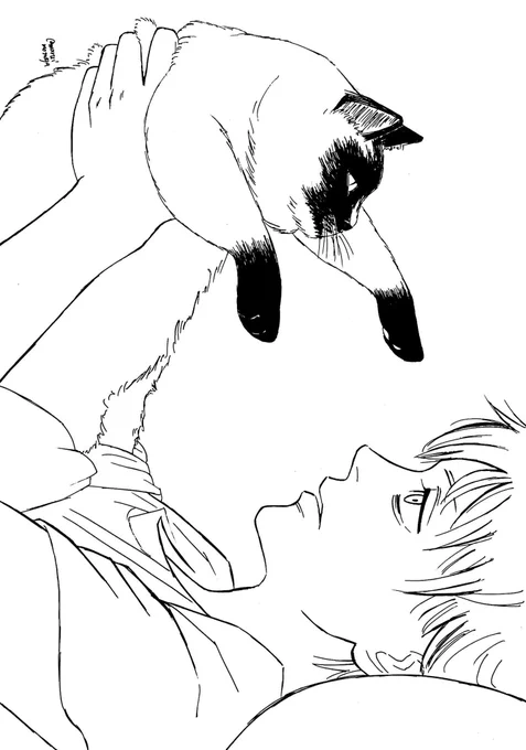#世界猫の日 