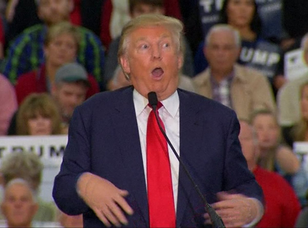 “AHHHHHHH I’M TIM WALZ, I BANG HORSES AND PRETEND I SERVED IN IRAQ AHHHHHH”