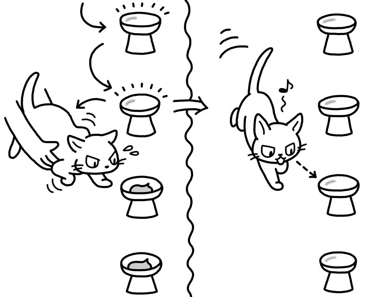 #世界猫の日 におすすめしたい『知りたい! ネコごころ』(岩波科学ライブラリー)。面白いです。カバーと本文挿絵を描いています。 