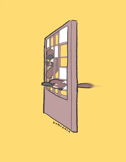 カモノハシ 