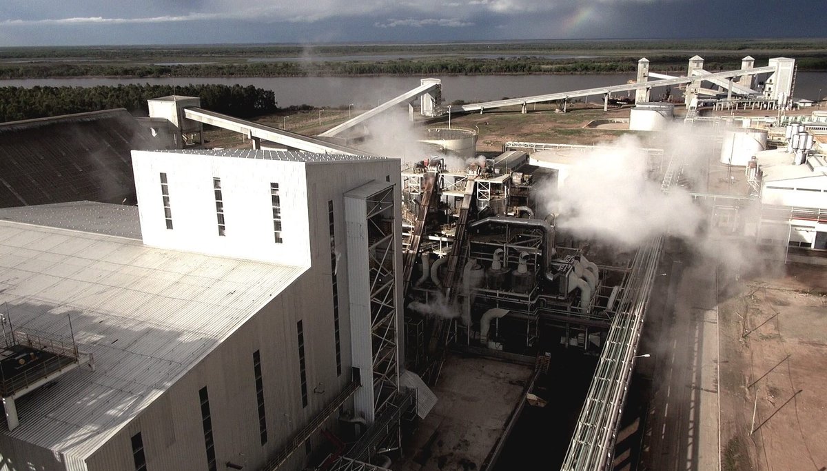 cignolihnos's tweet photo. Pese a la mayor cosecha, la soja paraguaya sigue siendo el salvavidas de la industria aceitera local https://t.co/VLOP9gdmjQ @infocampoweb https://t.co/yOpwGB1oBp