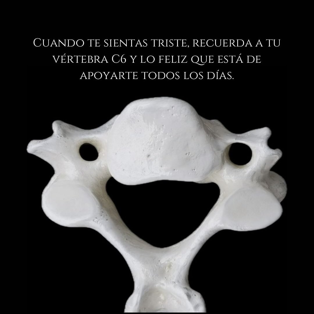 elCostes's tweet photo. Una sonrisa que te mantiene de pie. https://t.co/CZtN4UXMKC