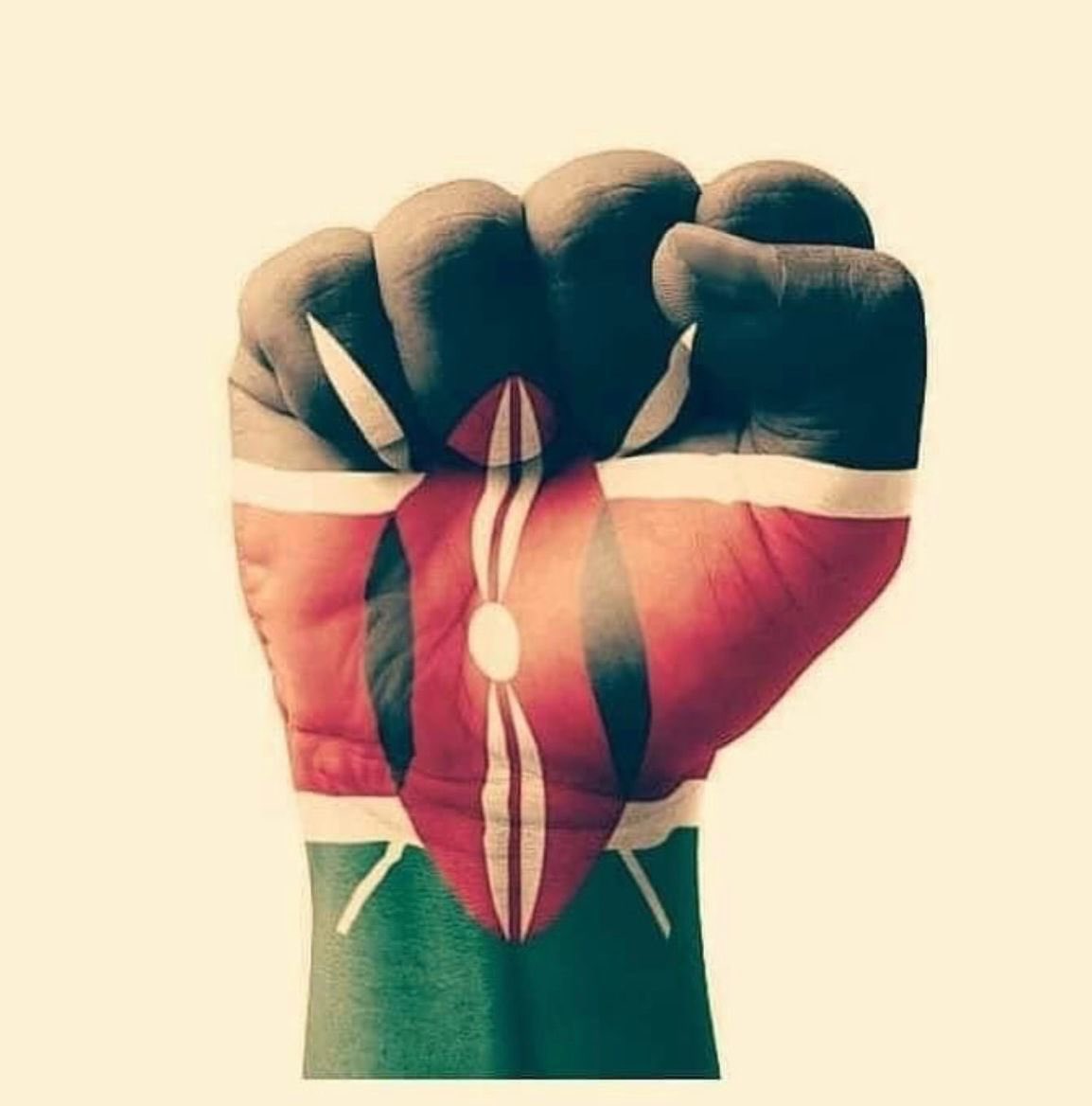 ali_naka's tweet photo. To our brothers and sisters in Kenya, you have been an inspiration to Africa! The struggle continues #NaneNane #EDMustFall https://t.co/qvAZyZmS70