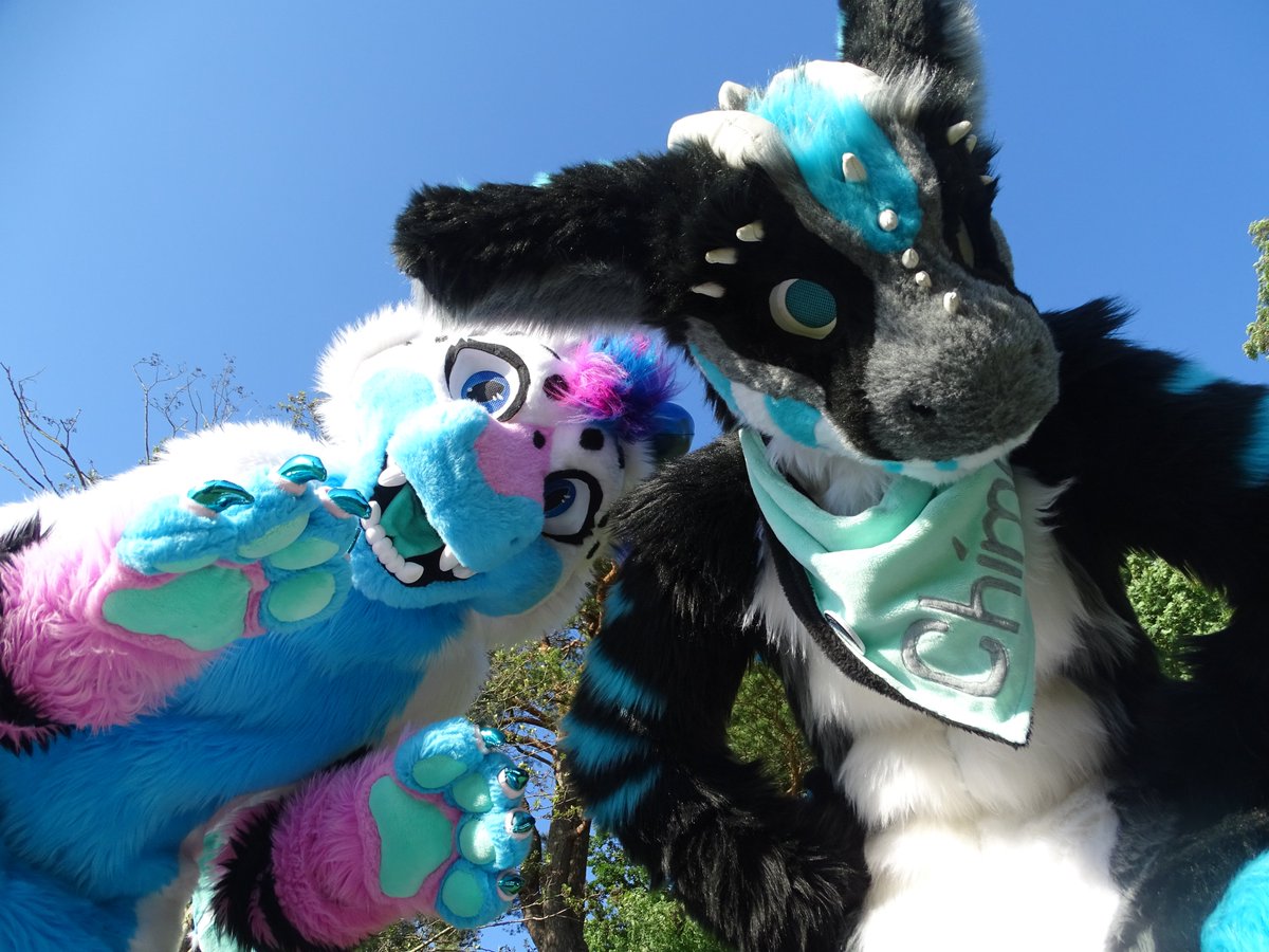oi you down there. Come up and smile. You cant? Check Riley out, and u will smile. Shes a very cute furdragon.

Have a great Thursday. Weekend is soon.

Fursuiter left is riley made by <a href="/MelisDragonpets/">Melina's Dragonpets</a> 
Fursuiter right is made and worn by <a href="/ChimotOwO/">Chimoto 🔜Gdakon</a> 
Photo made and edit by me