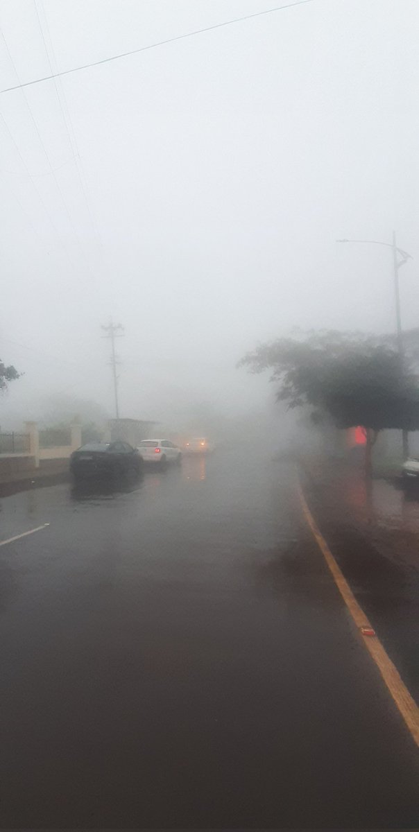 NationFirst36's tweet image. Good morning and good day 🌞🌻
#theme_pic_India_roads