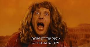 Yaron Assa tweet media