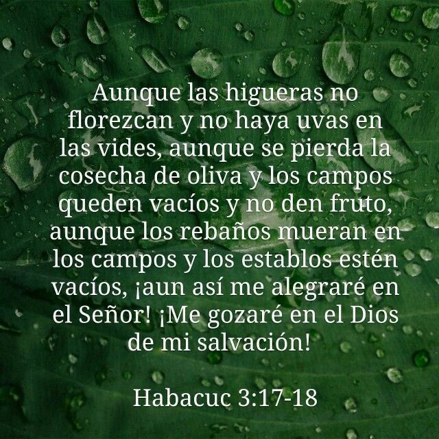 Buen Día IGLESIA!
La VITAMINA hoy es
Porque la higuera no florecerá
ni las viñas brotarán
faltará el fruto de la oliva
los campos no darán alimento
Arrebatadas serán del redil las ovejas
y quedarán sin ganados los pesebres
Yo me REGOCIJARE EN EL SEÑOR Y SALTARÉ DE GOZO EN DIOS