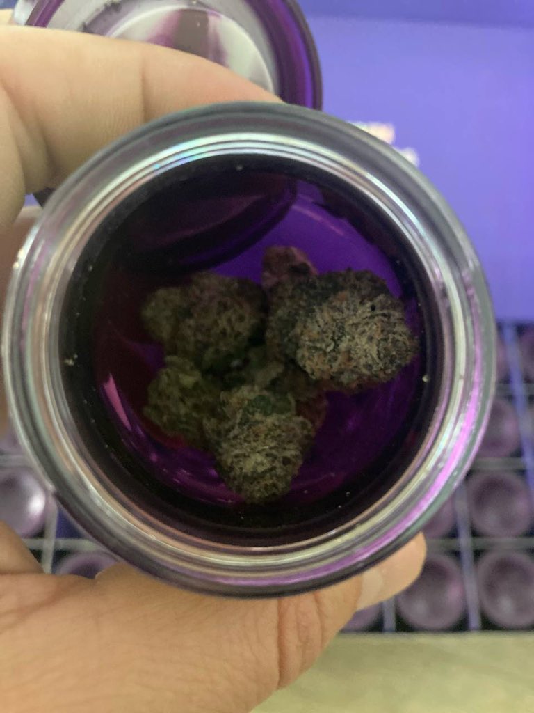 remo420wayne's tweet photo. 💨 https://t.co/rOMLgt3u9H