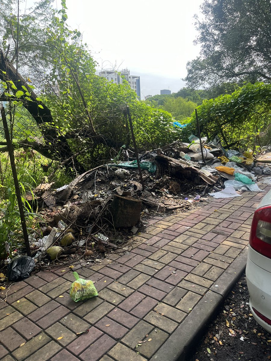 rushabhgugale's tweet photo. @PMCPune care to clean, near walwekar lawns, opp Padmadarshan society, off Satara road https://t.co/2qIBk8InId