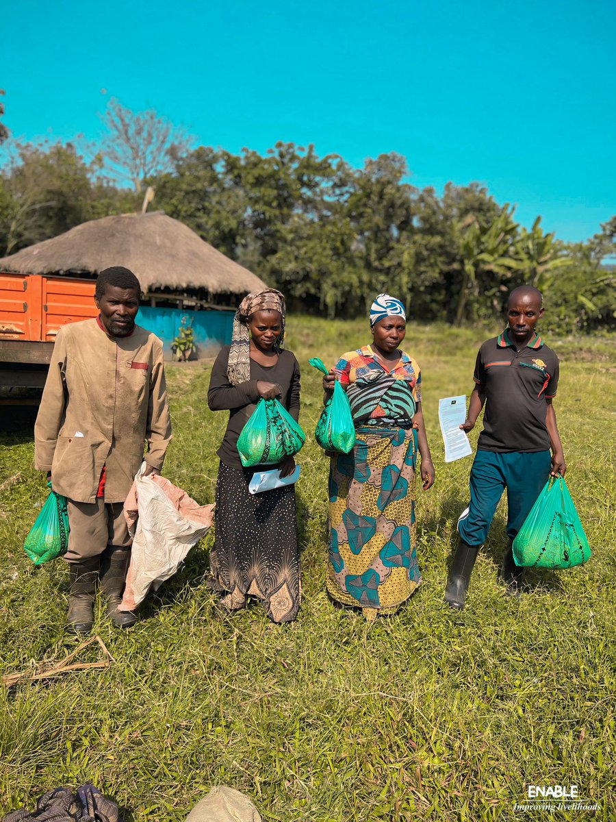 Enablerdc's tweet photo. 🌽 Avec le soutien technique de #AALI, #ENABLE #RDC sensibilise les petits producteurs de Buzi-Bulenga aux valeurs agronomiques et nutritionnelles des semences de #maïs. 

Le 5 août 2024, nous avons distribué des semences de maïs et formé les agriculteurs.

#Agriculture https://t.co/L76LHfCFnH
