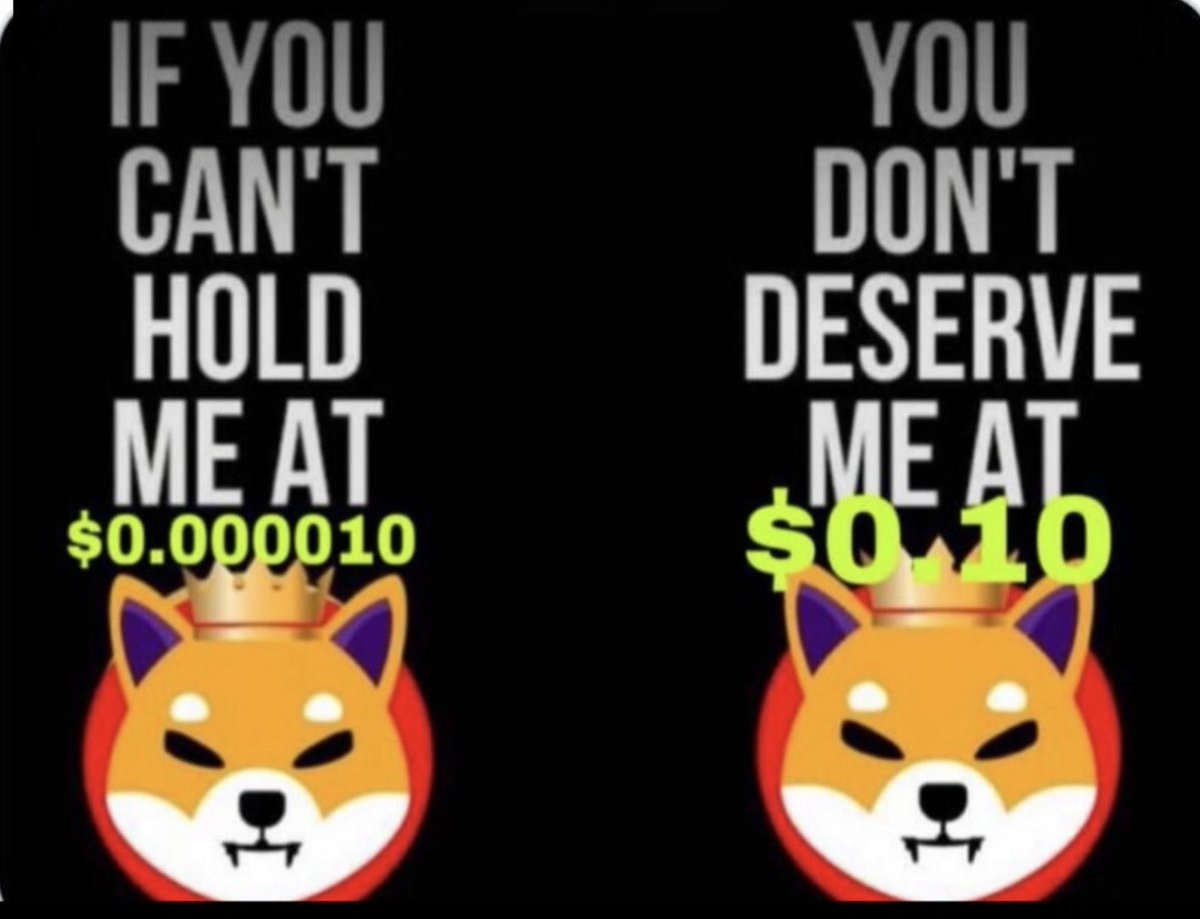 SHIB POSSESSOR tweet media