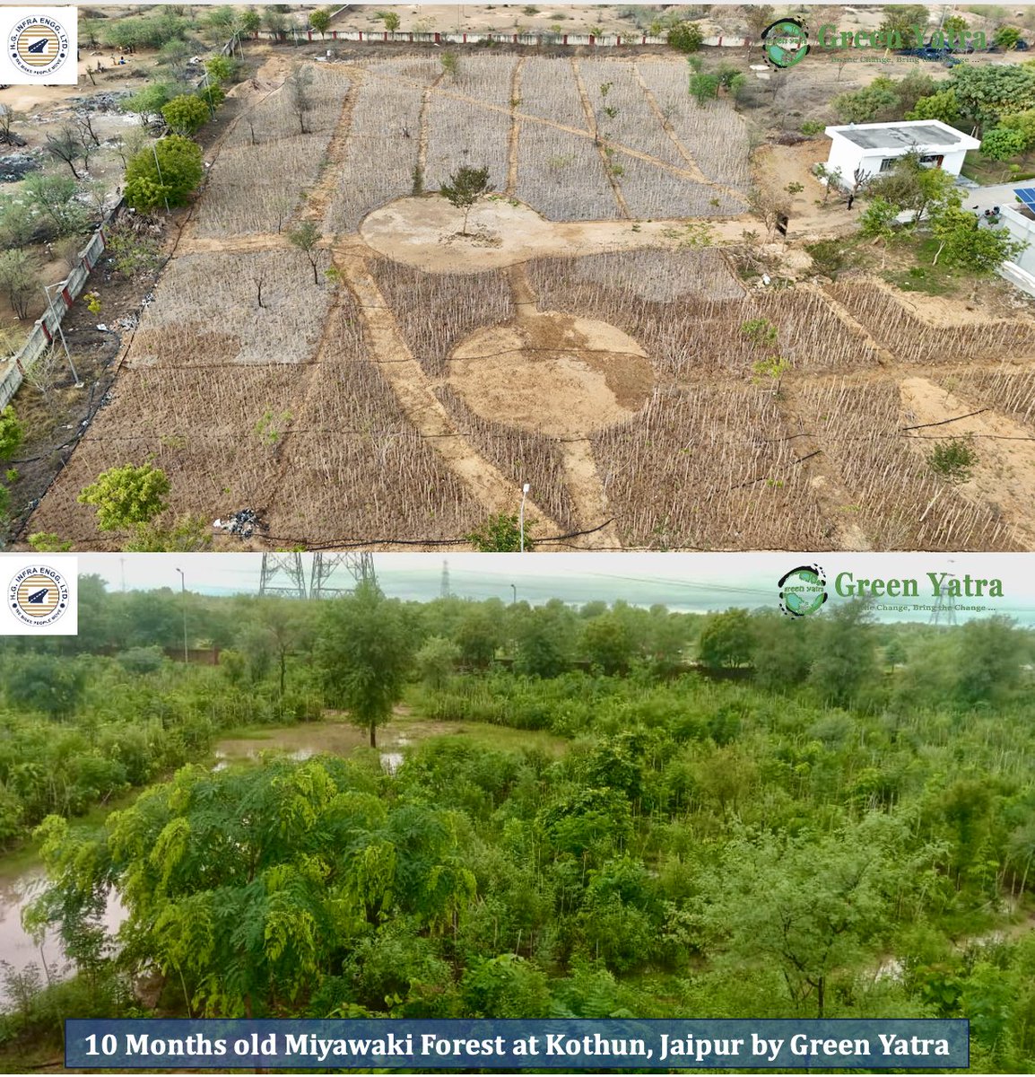Greenyatra's tweet photo. Kothun #MiyawakiForest, Jaipur
No. of Saplings: 20000+ saplings of 49 local native species of #Rajasthan.
#ForestAge: 10 months
#PlantGrowth: Upto 10 feet
#CSRPartner: @hginfra
Land Owner: @RajasthanPhed Public Health Engineering Department
Forests grown under Miyawaki method grow:
10 times faster,
30 times denser,
100 times more biodiversity,
30 times better Carbon-dioxide absorption,
30 times better noise and dust reduction,
30 times greener surface area, as compared to a monoculture plantation.
So, we get a 100% native, 100% organic and 100-year-old forest growth in just 10 years.
@BhajanlalBjp @RajCMO @OnlineKanhaiya @samitsharmaias @jdajaipur @moefcc @narendramodi
#HGInfra #TreePlantation #MiyawakiForest #Jaipur #GreenYatra
