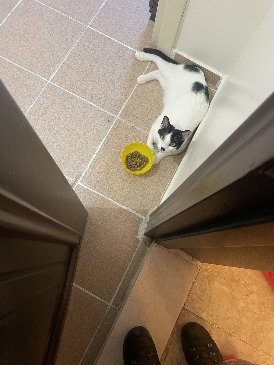 Günaydın ben bunu bırakıp nasıl gideyim şimdi🥹🫠😘