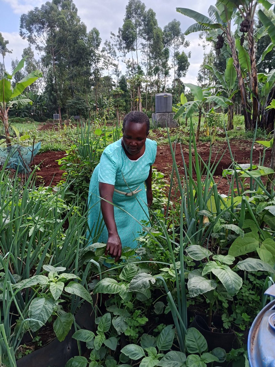 Slow Food Kenya tweet media