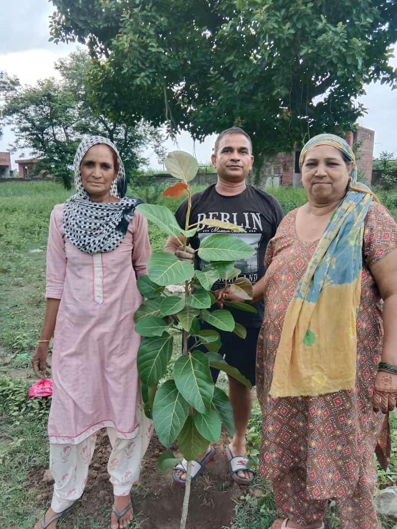 कुलदीप मेंदीपुर गढ्ढी से जनता नर्सरी सोनीपत से पीपल बड, अमरुद का पौधा लेकर गया और गांव मे लगाए ऐसे ही आप भी पौधरोपण करे और इसको जन आंदोलन बनाये 
<a href="/myogiadityanath/">Yogi Adityanath</a> <a href="/ishyampoonia/">Shyam Poonia</a> <a href="/treemandevender/">Tree Man Devender Sura</a> 
#trees
