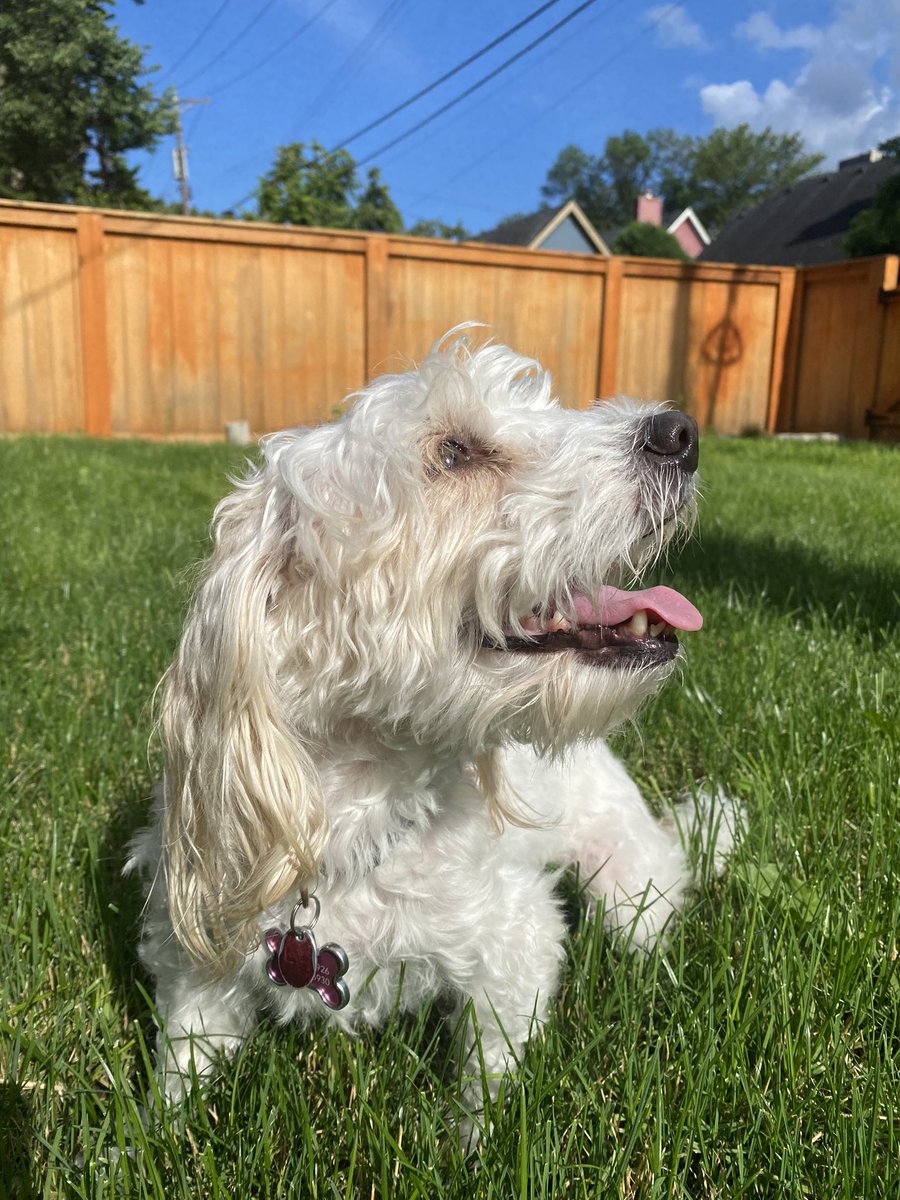 abizzle5 🍅 tweet media