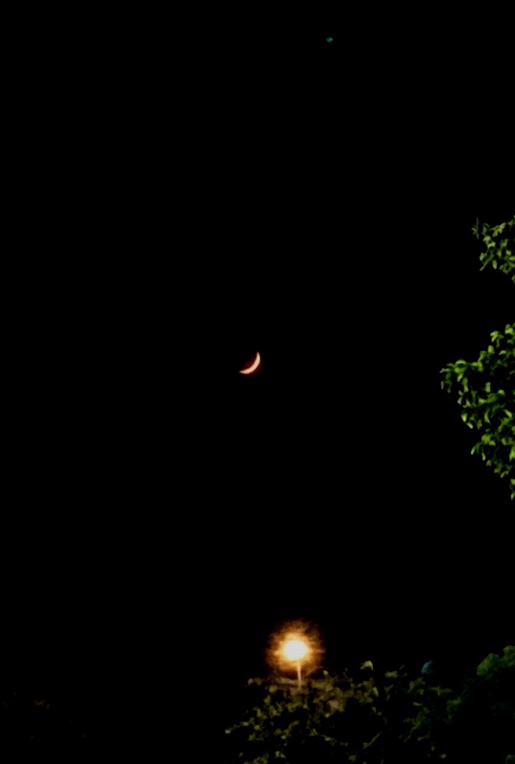 alanescalon's tweet photo. -🌒 https://t.co/leWVl0aepZ