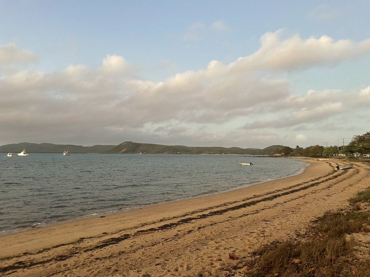 Simon Biggs tweet media