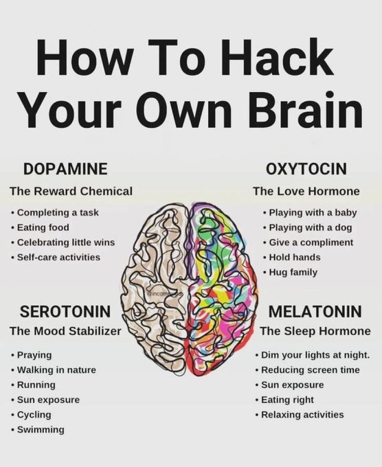 How to hack your own Brain