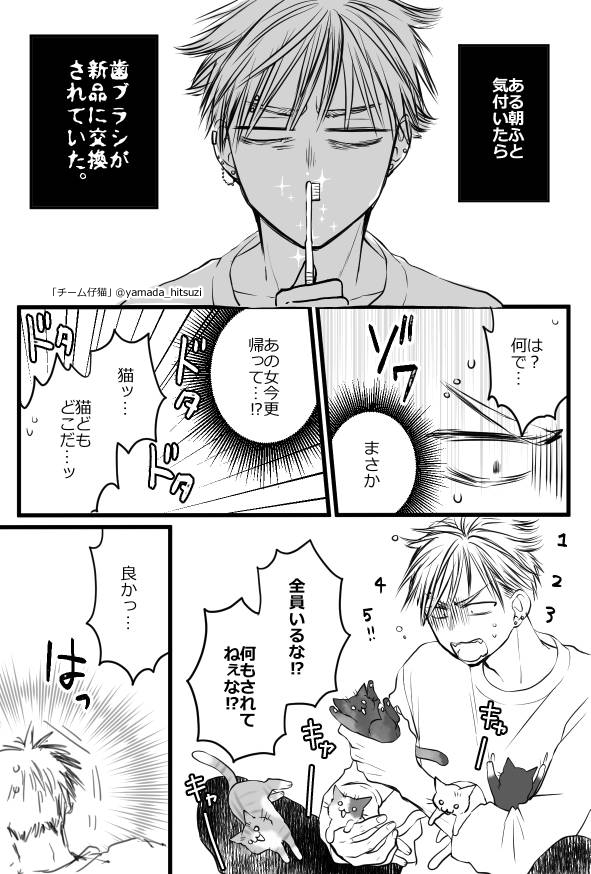 猫「「「「「この人間、推せる」」」」」
#チーム仔猫 #いつの間にか猫の推しになっていた件 #世界猫の日 