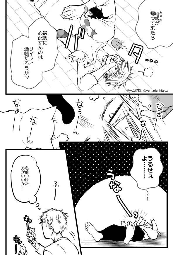 猫「「「「「この人間、推せる」」」」」
#チーム仔猫 #いつの間にか猫の推しになっていた件 #世界猫の日 