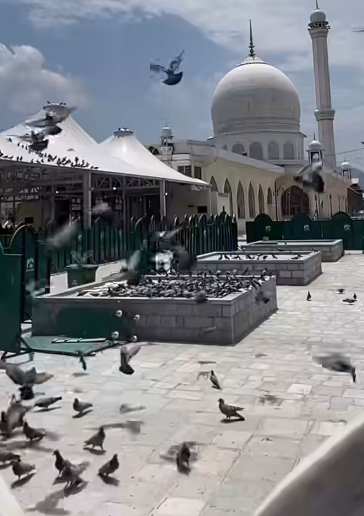 arslan_hun_'s tweet photo. "Allah is not in a hurry, you are. That's why you're tired, anxious, stressed and dissapointed. Trust what was meant to be yours, will be yours.
Unrush yourself." https://t.co/co1zhOTJFn