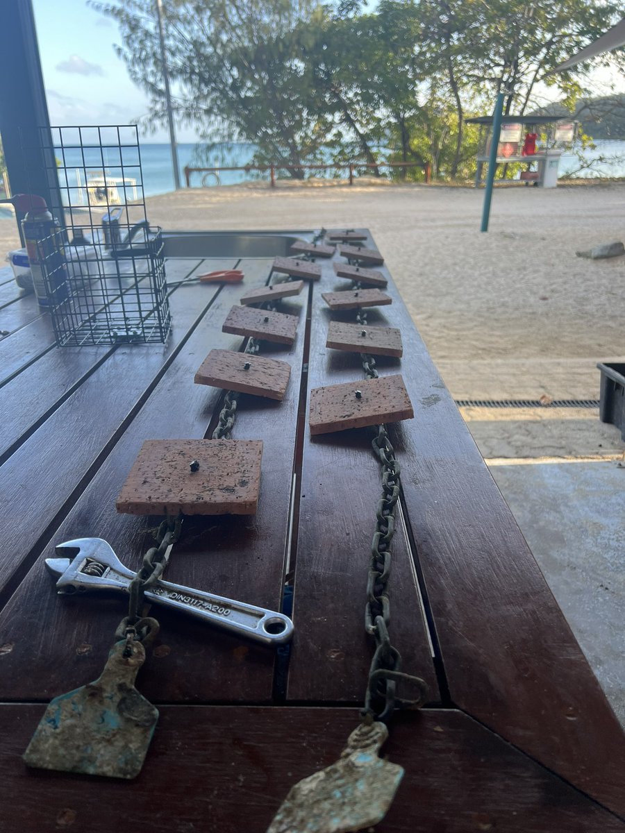 paulimim's tweet photo. 🌊🚀 We are thrilled to announce the successful deployment of our underwater experiments around Orpheus Island Research Station! 🌊🔬 Huge shoutout to our dedicated team for their hard work and passion. Exciting discoveries await beneath the waves! 🌊💙 #MarineResearch #OrpheusIs https://t.co/3DFXxFnPaT