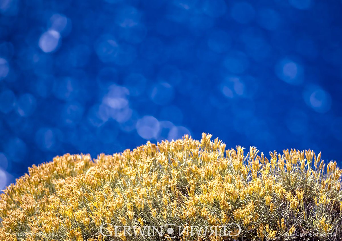 GERWIN ◙ ИIWЯƎӘ tweet media