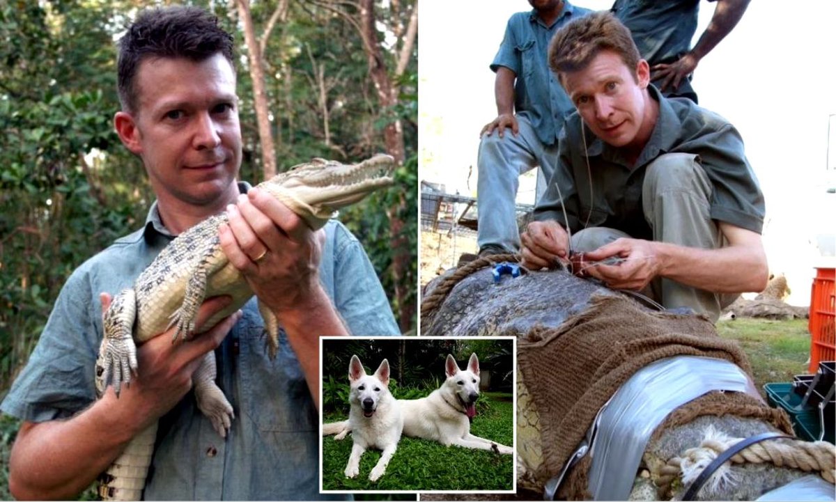Johanne31785773's tweet photo. Unbelievable.
Former BBC zoologist Adam Britton, who filmed himself raping and torturing dogs, is condemned for 'inconceivable depravity' by judge as he is sent to jail.

Jimmy Savile, Huw Edwards etc.

The BBC is full of people like this. https://t.co/1gn9A1abOO