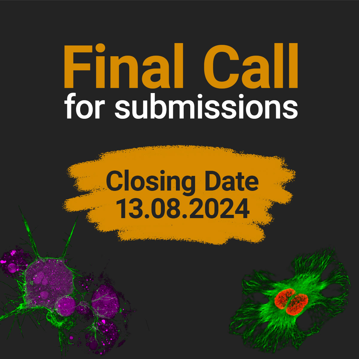 🚨 Final hours to enter #GlowingLifeChallenge! Showcase research with ATTO dyes and have your work recognized by peers and industry leaders. Submit now: challenge.atto-tec.com 🌟 #attotec #Fluorescence #LastChance