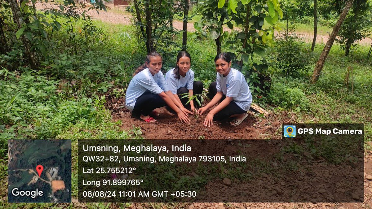 NssRBSC's tweet photo. The NSS Unit of Ri Bhoi Synod College had successfully organised the 'Meri LiFE' Tree plantation program under the theme " Ek Ped Ma Ke Naam" in the college campus. 
More than 120 saplings were planted  today
#Nehu #nss_rdguwahati #nssindia #plant4mother #nssnehu #nssnehu https://t.co/Xq28AIFAUV