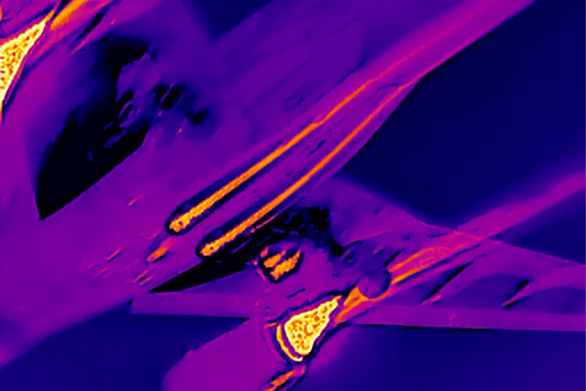 THE_SQUAIRE tweet media